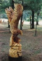 Spread Eagle 